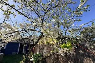 147 N McPherson St, Fort Bragg, CA 95437 - Photo 28