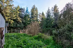 31191 Turner Rd, Fort Bragg, CA 95437 - Photo 30