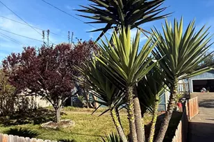 1361 E Oak St, Fort Bragg, CA 95437 - Photo 22