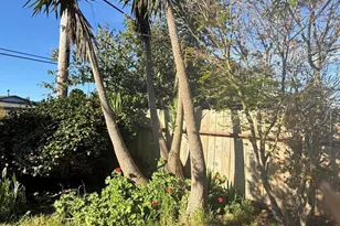 1361 E Oak St, Fort Bragg, CA 95437 - Photo 20