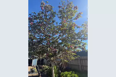 1361 E Oak Street, Fort Bragg, CA 95437 - Photo 22