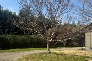16875 Franklin Rd, Fort Bragg, CA 95437 - Photo 40