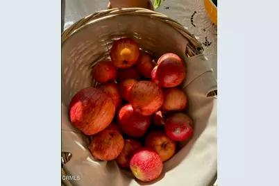 31400 Sherwood Road, Fort Bragg, CA 95437 - Photo 12