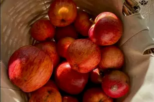 31400 Sherwood Rd, Fort Bragg, CA 95437 - Photo 12