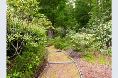 33100 Frog Pond Road, Little River, CA 95456 - Photo 48