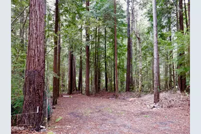 33100 Frog Pond Road, Little River, CA 95456 - Photo 54