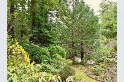 33100 Frog Pond Road, Little River, CA 95456 - Photo 50