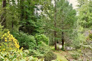 33100 Frog Pond Rd, Little River, CA 95456 - Photo 50