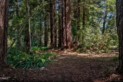 32500 Nameless Lane, Fort Bragg, CA 95437 - Photo 38