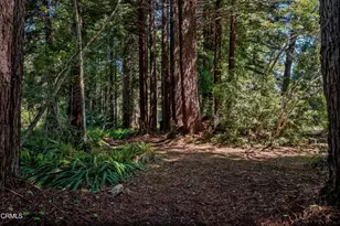 32500 Nameless Ln, Fort Bragg, CA 95437 - Photo 38