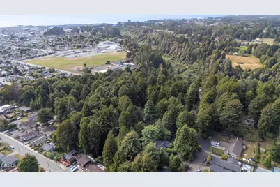 325 Nancy Way, Fort Bragg, CA 95437 - Photo 44