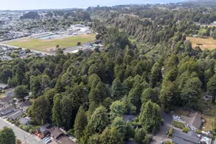 325 Nancy Way, Fort Bragg, CA 95437 - Photo 44