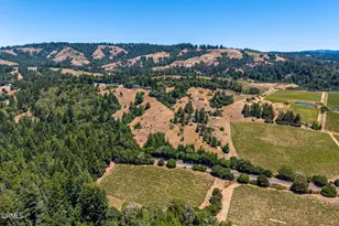 3400 Chardonnay Ln, Philo, CA 95463 - Photo 46