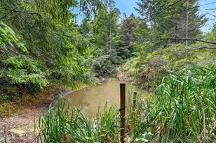 27421 Albion Ridge Rd, Albion, CA 95410 - Photo 30