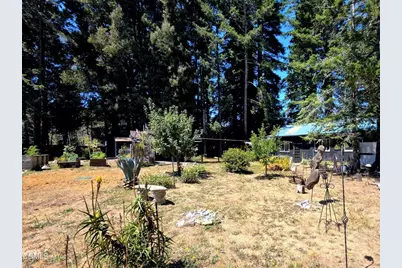 6951 Road 18, Little River, CA 95456 - Photo 38