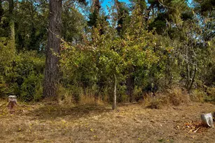 32840 Boice Ln, Fort Bragg, CA 95437 - Photo 30