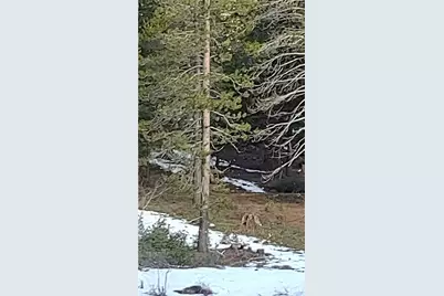 0 Lot 16, Block 26, Unit 2, Alturas, CA 96101 - Photo 1