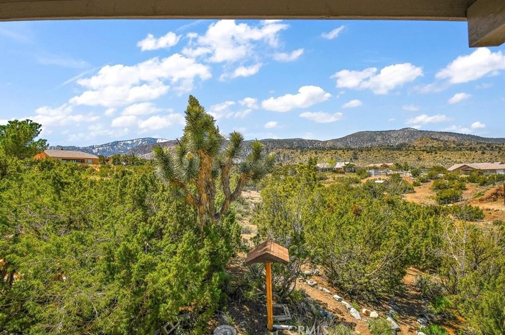 8280 Snow Cap Ave, Pinon Hills, CA 92372-9556