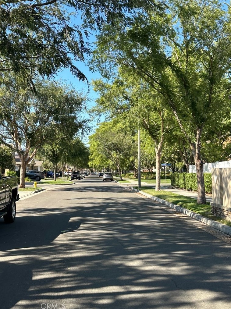 11048 Veach St, Loma Linda, CA 92354