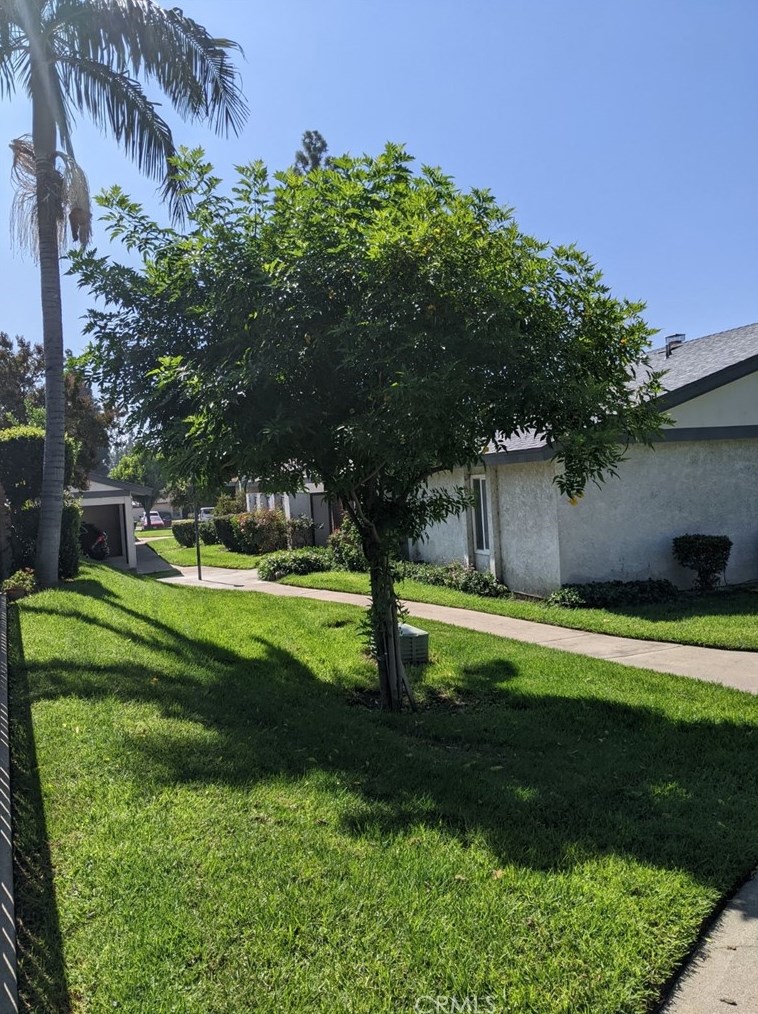 1364 W 8th St #65, Upland, CA 91786