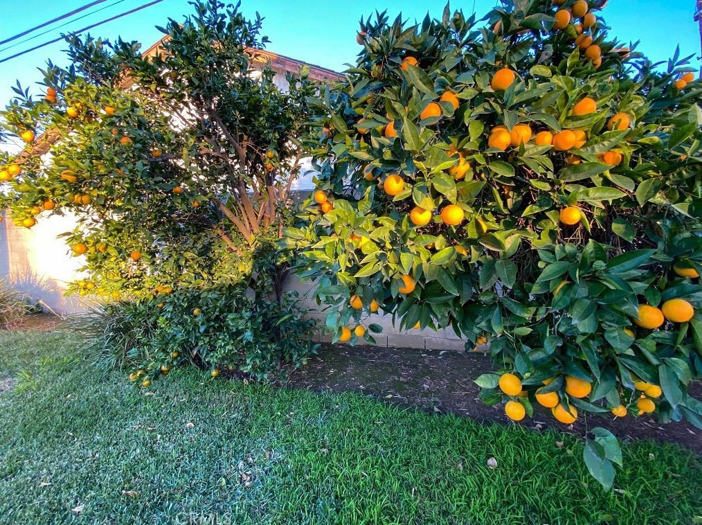 1071 Covina Hills Rd, Covina CA  91724-3621 exterior