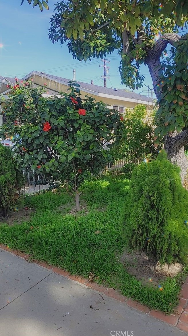10234 Pinehurst Ave, South Gate, CA 90280