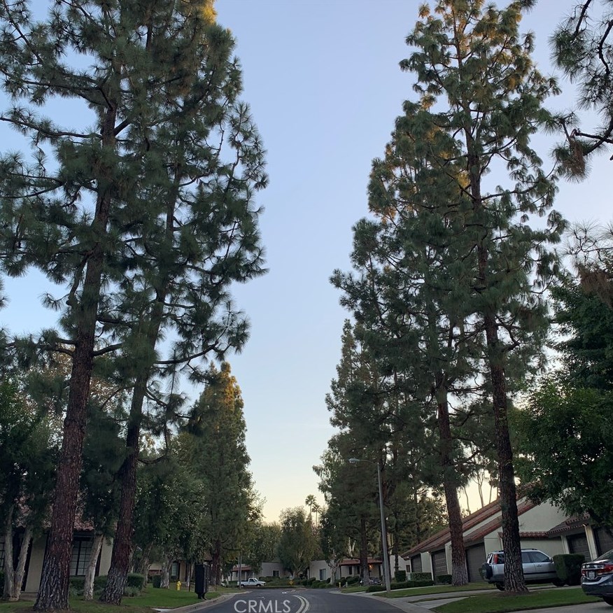 516 San Marcos Rd, San Dimas, CA 91773