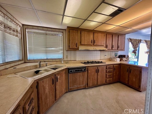 60500 Indian Paint Brush Rd, Anza CA  92539-9845 exterior
