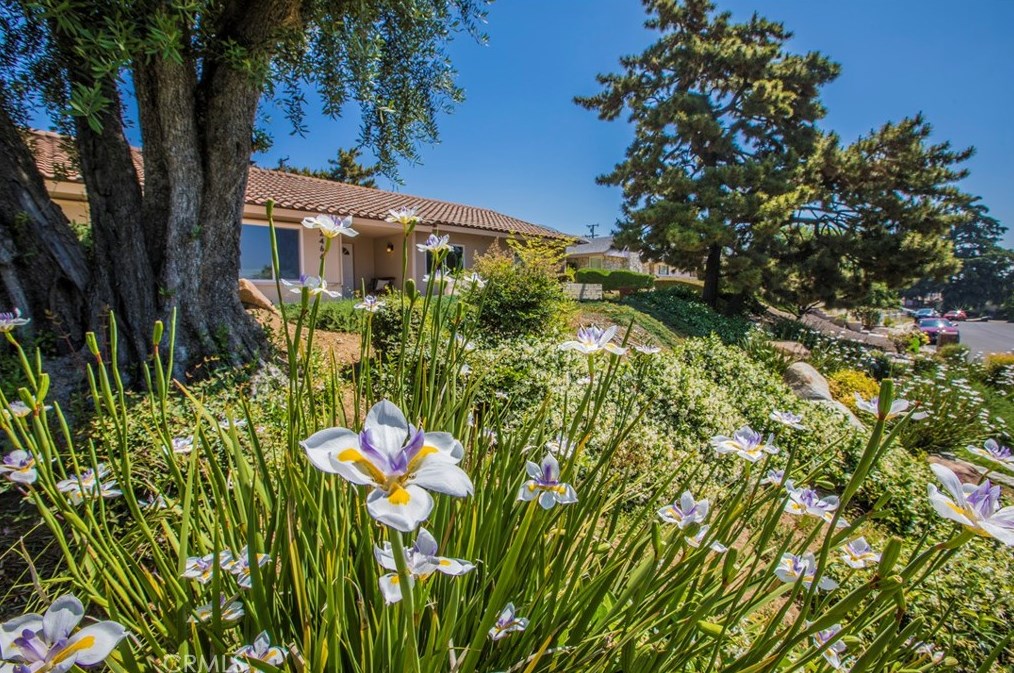 2466 Ocean View Dr, Upland, CA 91784