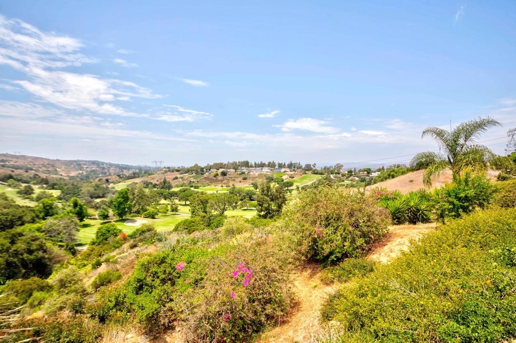 7005 Country Clb Ln, Anaheim CA  92807-4436 exterior