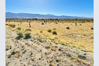 12025 Primavera Road, Pinon Hills, CA 92372 - Photo 12