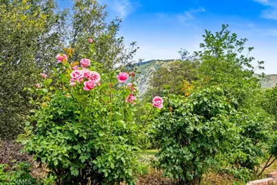 2645 Apple Lane, Julian, CA 92036 - Photo 14