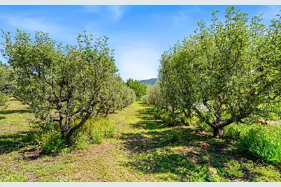 2645 Apple Lane, Julian, CA 92036 - Photo 36