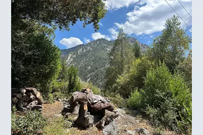 49 Ice House Canyon Road, Mount Baldy, CA 91759 - Photo 22