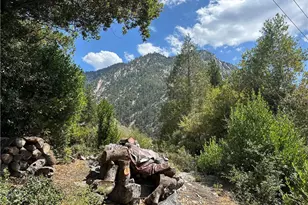 49 Ice House Canyon Rd, Mount Baldy, CA 91759 - Photo 22