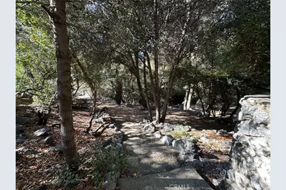 49 Ice House Canyon Road, Mount Baldy, CA 91759 - Photo 6