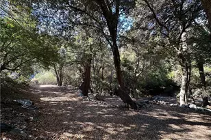 49 Ice House Canyon Rd, Mount Baldy, CA 91759 - Photo 32