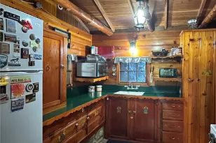 49 Ice House Canyon Rd, Mount Baldy, CA 91759 - Photo 16