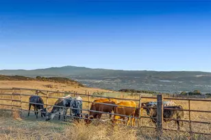 0 Sycamore Flats Motorway, San Dimas, CA 91773 - Photo 32