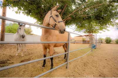 18106 Carob Street, Hesperia, CA 92345 - Photo 48