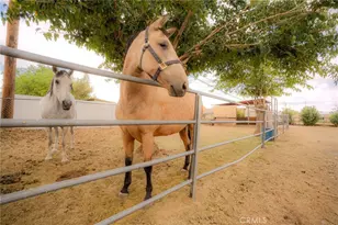 18106 Carob St, Hesperia, CA 92345 - Photo 48