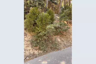 24355 Albrun Drive, Crestline, CA 92325 - Photo 4