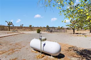 11574 Silver Rock Rd, Pinon Hills, CA 92372 - Photo 34