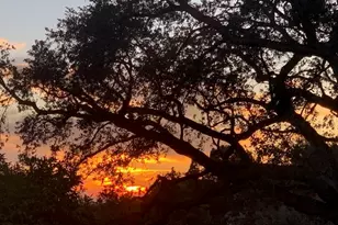 15 Vista Cir Dr, Sierra Madre, CA 91024 - Photo 44