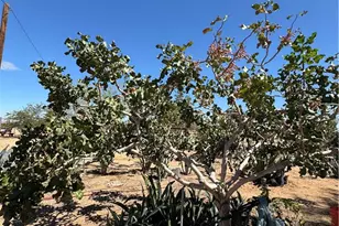 1990 1990 Bourbon, Landers, CA 92285 - Photo 6