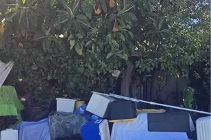 4527 Kickapoo Ct, San Diego, CA 92117 - Photo 44