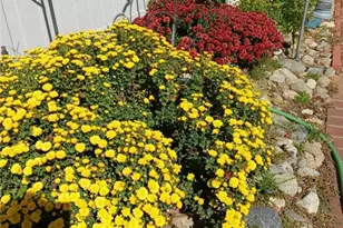 6353 Colonial, Banning, CA 92220 - Photo 16