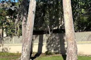 1286 N Pine Needle Ct, Azusa, CA 91702 - Photo 12