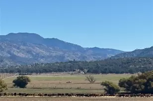 18266 Caliente Creek Rd, Caliente, CA 93518 - Photo 22