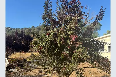 18266 Caliente Creek Road, Caliente, CA 93518 - Photo 26
